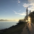 IMG 9549
