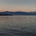 IMG 9563