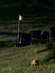 2023-07-03 Bougens 'na brica!