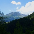 IMG 6724