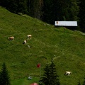 IMG 6699
