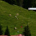 IMG 6698