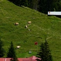 IMG 6697
