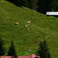IMG 6696
