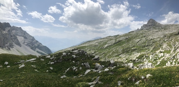 2023-07-23-14-01-55-