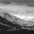IMG 7389