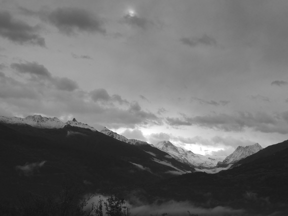IMG 7391