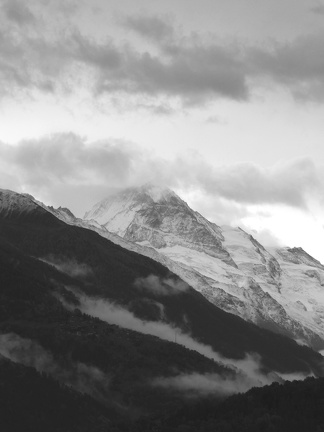 IMG 7393