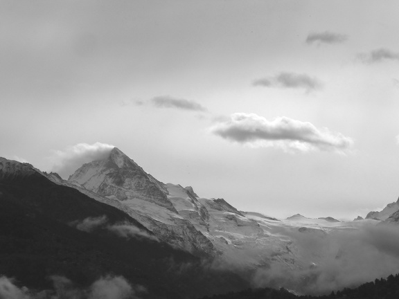 IMG 7396