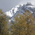 IMG 7551
