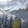 IMG 7555
