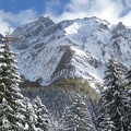 IMG 7561
