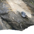 IMG 7571