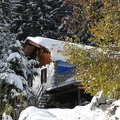 IMG 7577