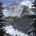 IMG 7590