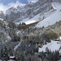 IMG 7592