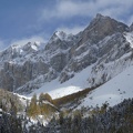 IMG 7595