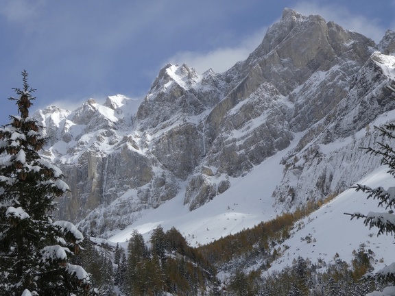 IMG 7598