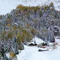 IMG 7600