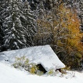 IMG 7601