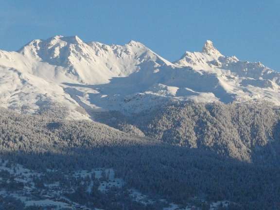IMG 7743