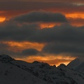 IMG 4556