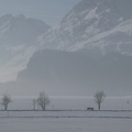 2025 02 19 1776 modifié-1