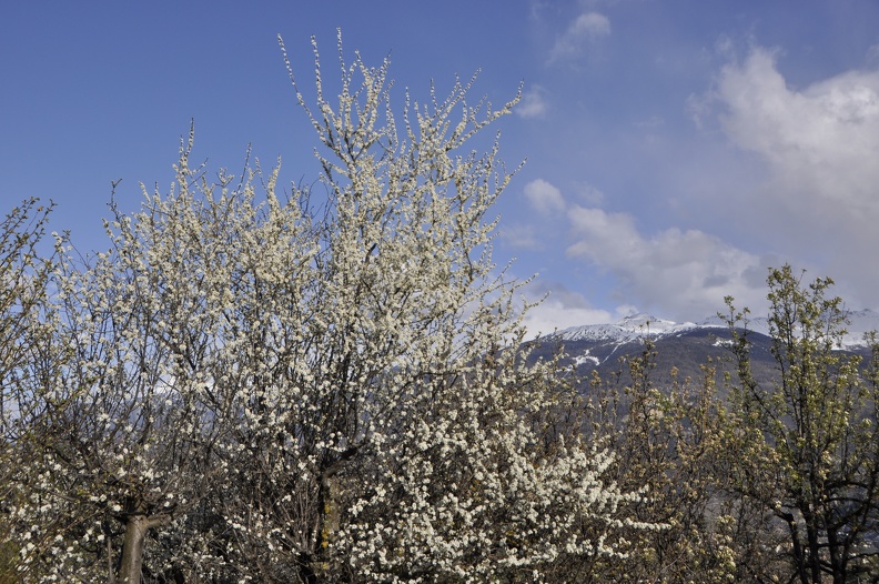 IMG_8505.JPG