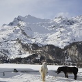 Grisons 2026