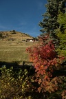 2022-10-22-15-53-04 - (41 visits, rating score 2.31) 2022-10-22-15-53-04