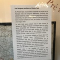 IMG 8721