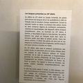 IMG 8736