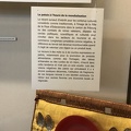 IMG 8746
