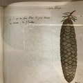 IMG 8752