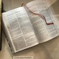 IMG 8753