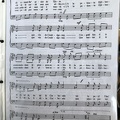 IMG 8952
