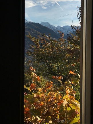 Oûton cllâr galyârd  chôd