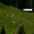IMG 6695