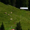IMG 6694