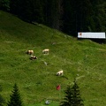 IMG 6689