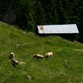 IMG 6685