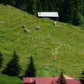 IMG 6679
