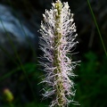IMG 6672