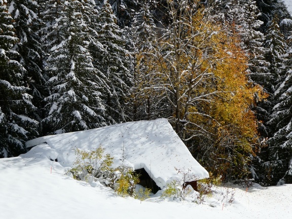 IMG 7601